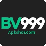 BV999 Game
