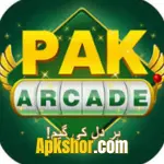 PAK Arcade Game Download Apk