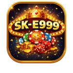 SK-E999
